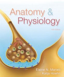 Test Bank for Anatomy and Physiology 5th Edition Marieb