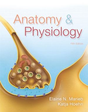 Test Bank for Anatomy and Physiology 5th Edition Marieb